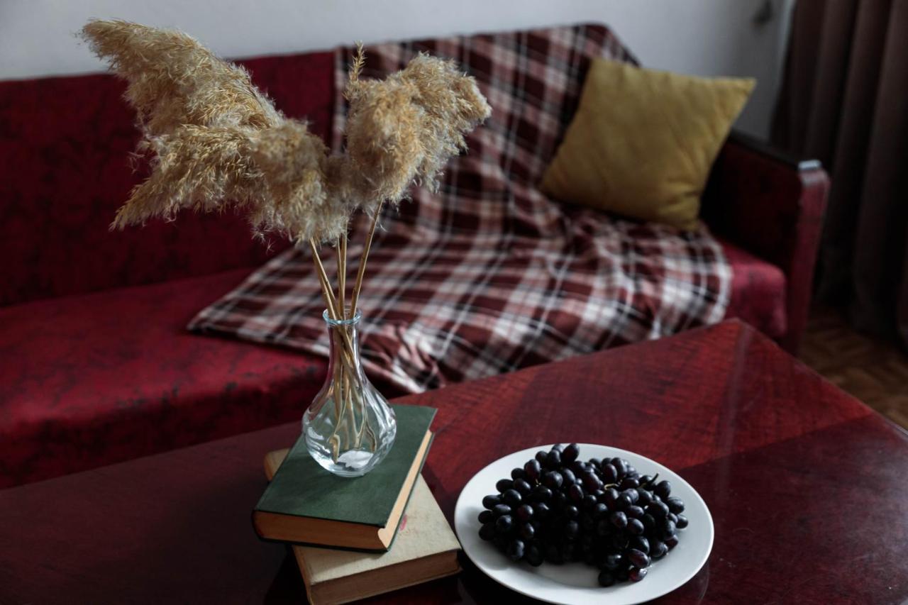 The Soviet Union Apartment In The Heart Of The Old City Almaty Luaran gambar